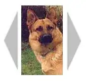 wind direction in vector form with magnitude of wind speed