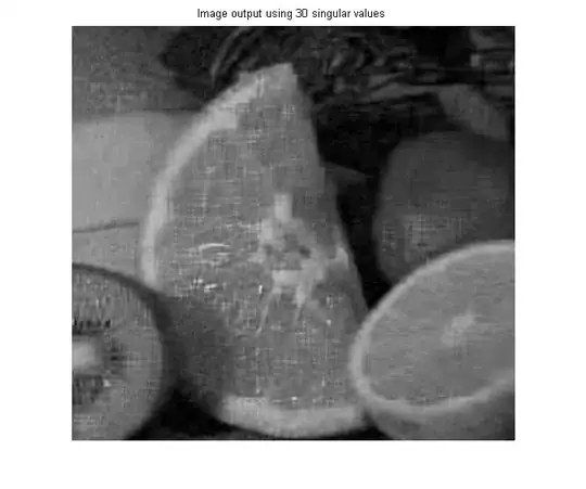 First 30 Singular Values