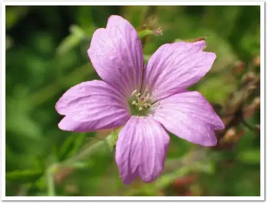 diagram showing basic data model