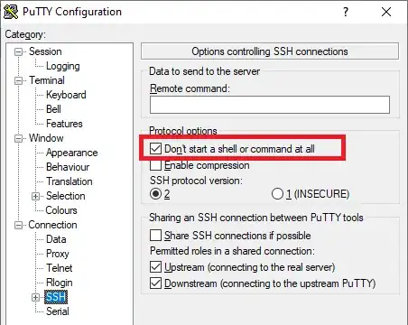 PuTTY option Don't start a shell or command at all