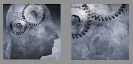 Importing the dll fine using build settings