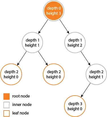 A tree, with height and depth of each node