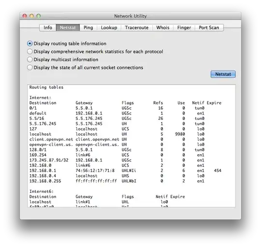 Network utility screenshot displaying routing table information