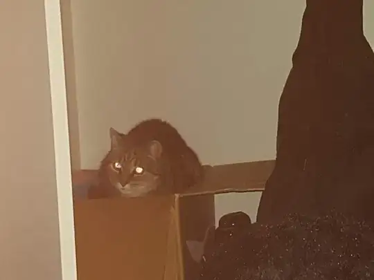 default app without modifications