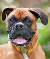 From H, subtract where T visually overlaps