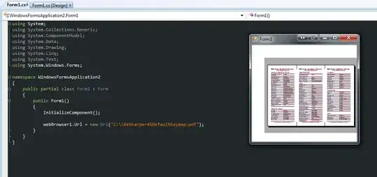 set the path in code