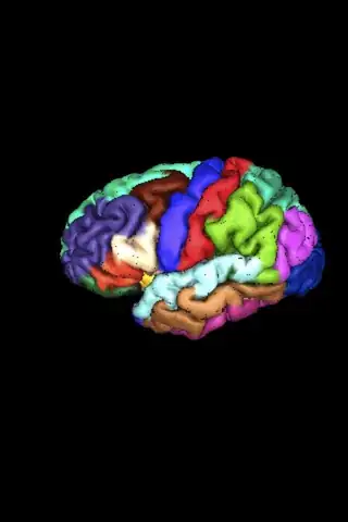 Image rendered in the Device