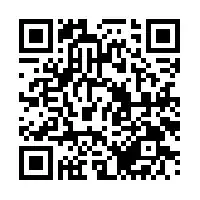 Order-Export snippet