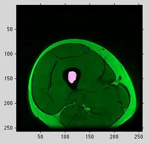 Multiply two columns on a grid view