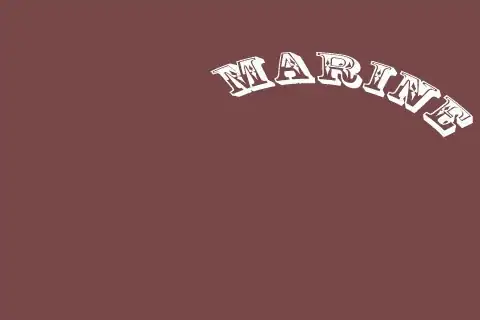 Screenshot of Firebase StackTrace here