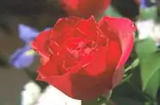 after another rotate 180