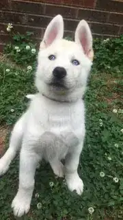 original .jpg image, before conversion