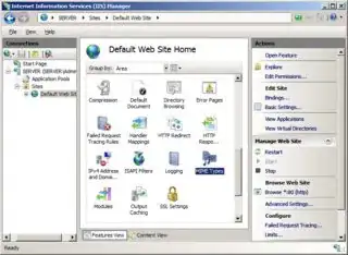 IIS > Mime Types