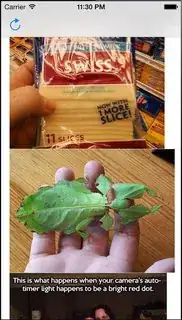 notice indent on left side of images