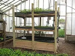 A small, portable aquaponics system