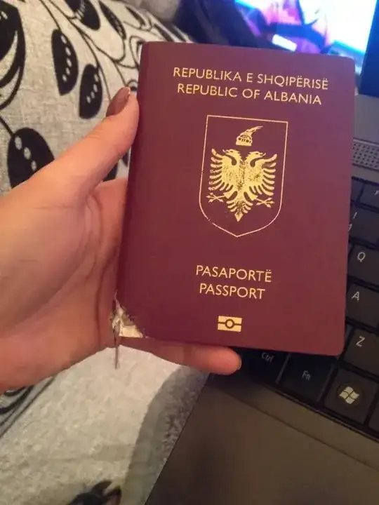 dog chewed passport