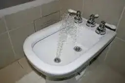 Bidet vertical spray