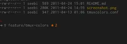 Screenshot of a session showing a prompt with an asterisk and arrow