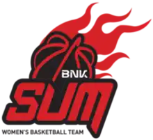 Busan BNK Sum 부산 BNK 썸 logo