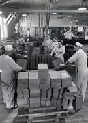 Line 2 - shell cleaning and inspection layout