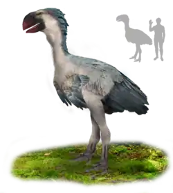 Gastornis gigantea (previously known as "Diatryma") was the largest bird to ever inhabit North America, weighing up to 225&nbsp;kg (496&nbsp;lb).