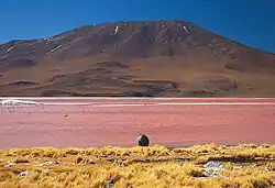 Laguna Colorada, Quetena Grande