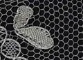 Mesh ground motif; toilé with a gimp, corner of half&nbsp;stitch, petals of cloth&nbsp;stitch