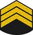 Головний старшинаHolovnyy starshyna(Ukrainian Navy)