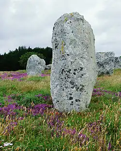 A menhir in Kermario, Karnag / Carnac