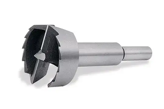 Forstner bit (from google images)